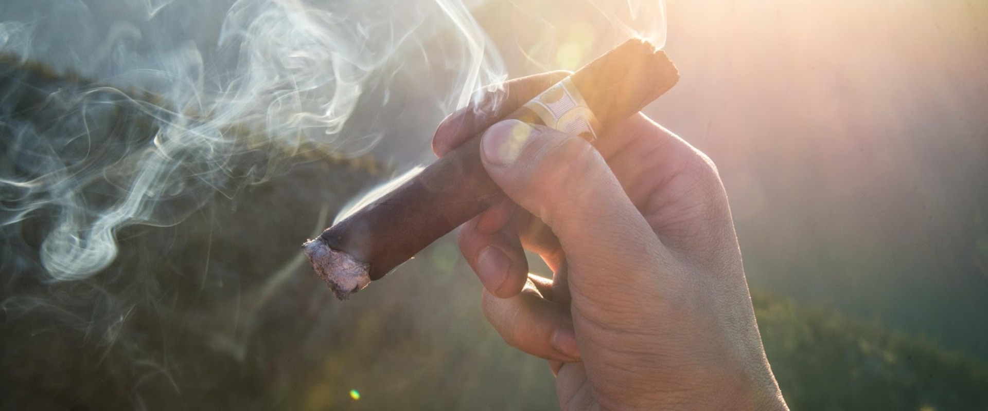 Cigar World Shop -Cigar World Shop 5d309eadea8879899cfbbe1bec548e5c