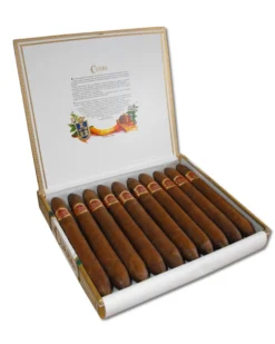 Cuaba Salomones - Pack Of 10