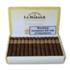 San Cristobal El Principe - Box Of 25