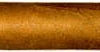 Partagas 898 Varnished Cigar - 1 Single